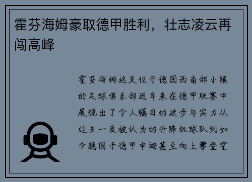 霍芬海姆豪取德甲胜利，壮志凌云再闯高峰