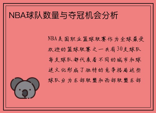 NBA球队数量与夺冠机会分析