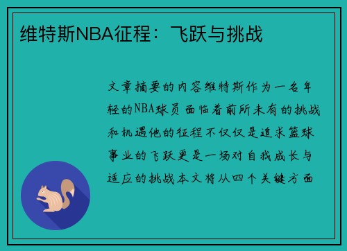 维特斯NBA征程：飞跃与挑战